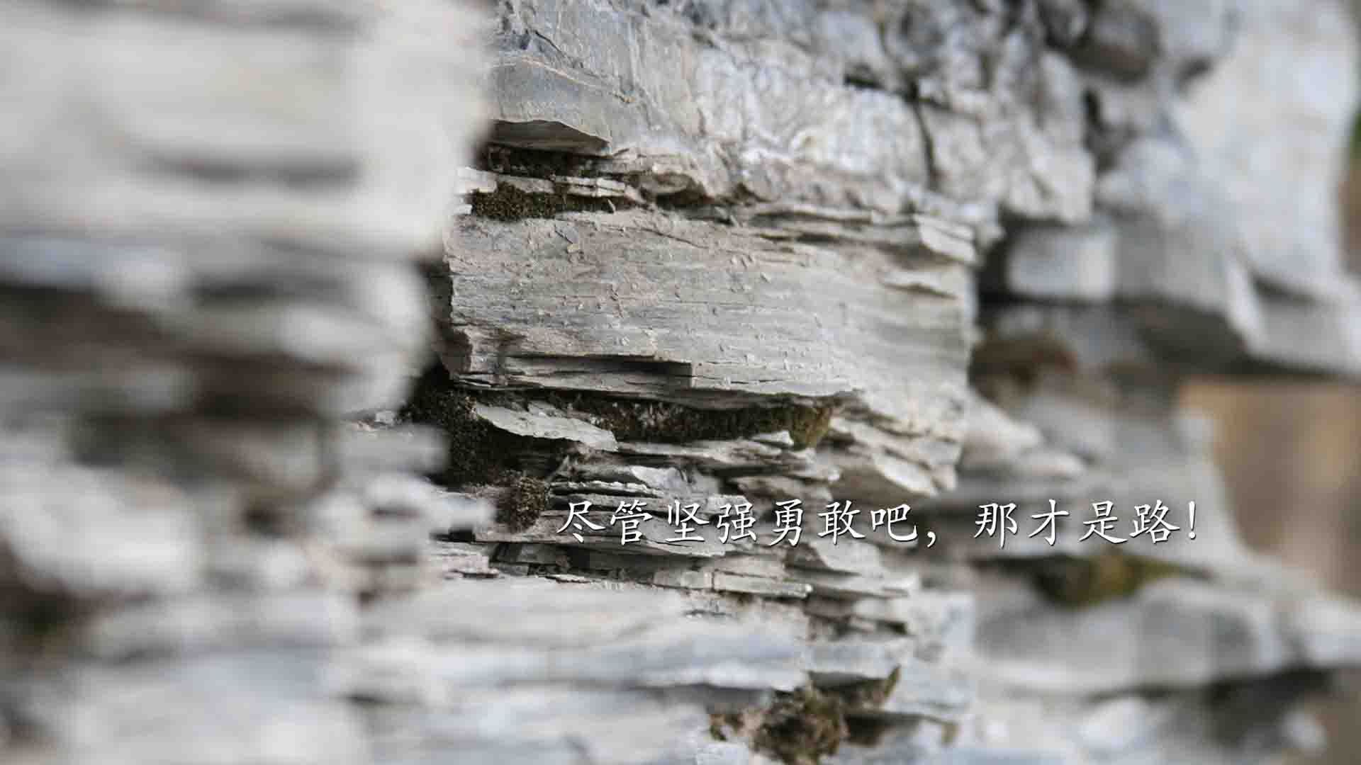 九游娱乐APP-《国际电竞组织新动态：推动行业规范化发展》，国际电竞项目有哪些