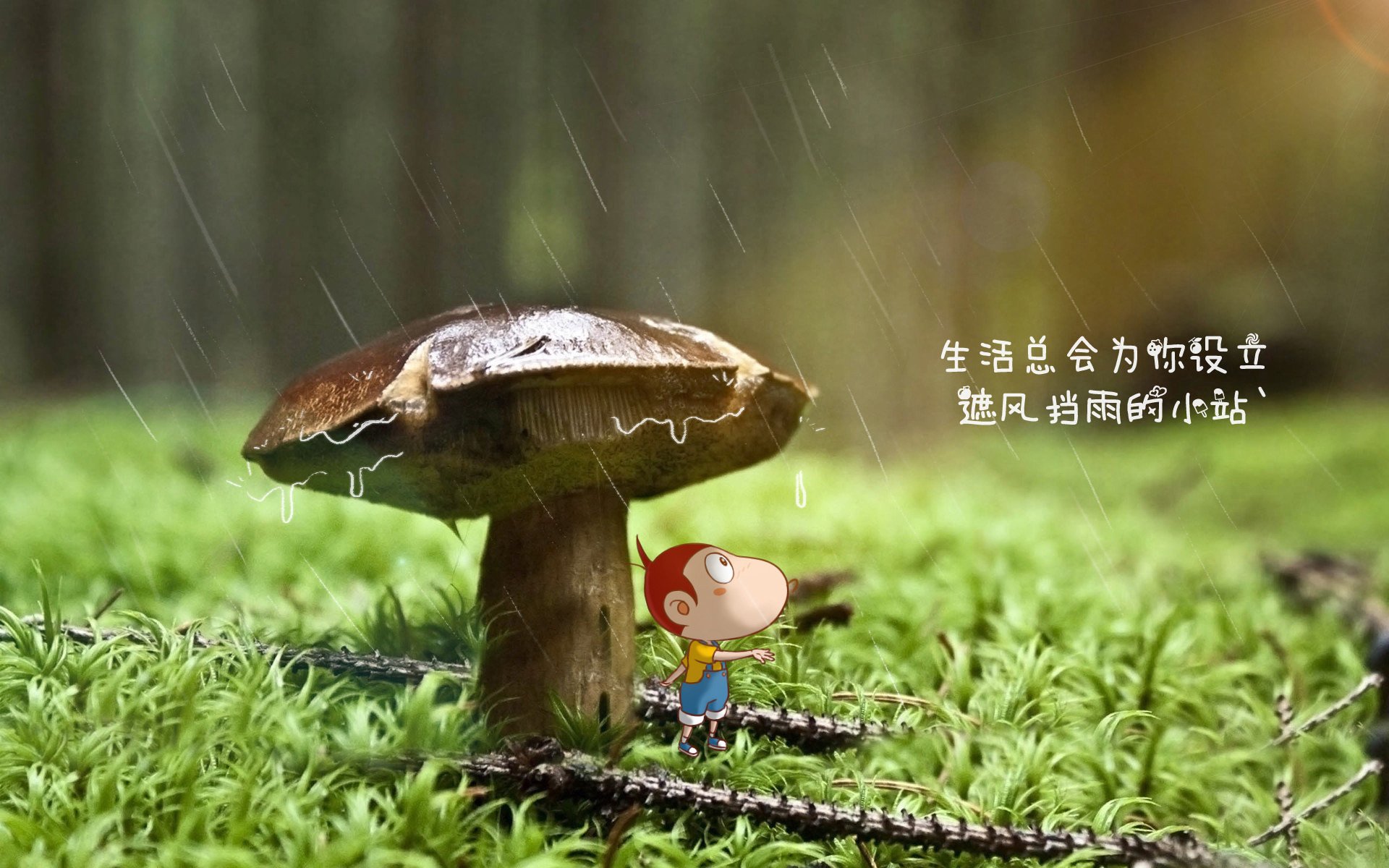 -智能数据分析：提升比赛中的战略水平，智能化数据平台