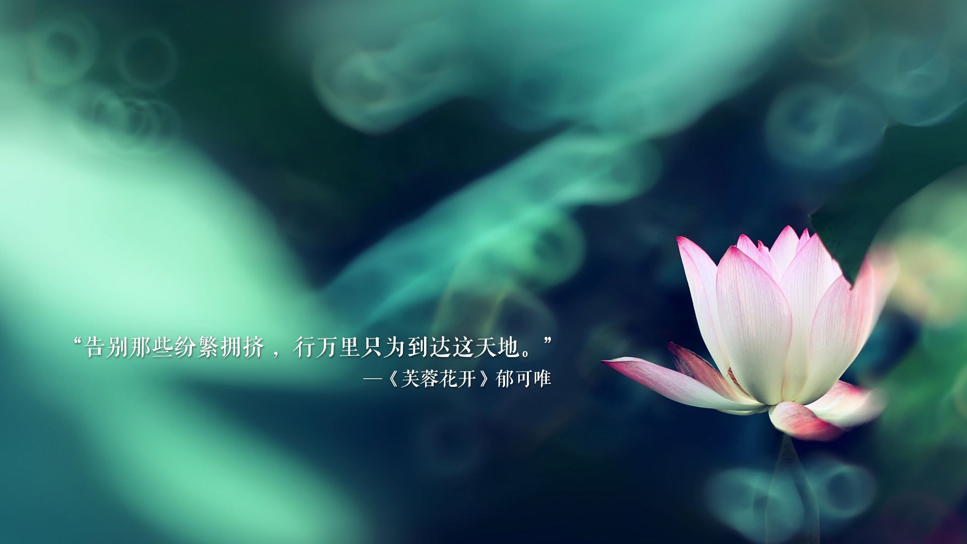 九游官网下载电脑版-美国骑手吉塔·日特科维奇荣获2024年最佳障碍赛骑手奖，表彰其卓越表现。