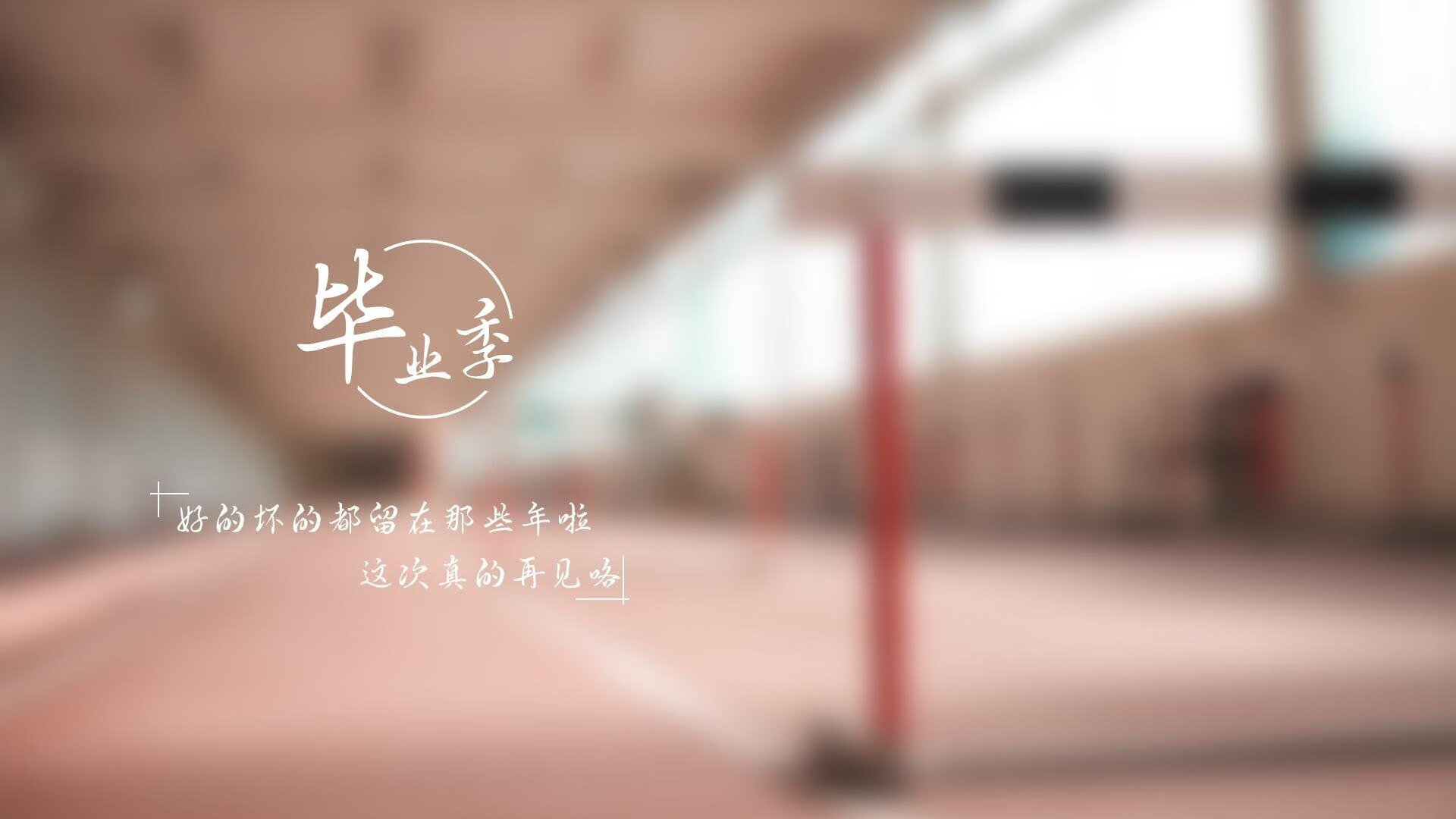 女足联赛技术分析系统助力球队备战，女足 联赛