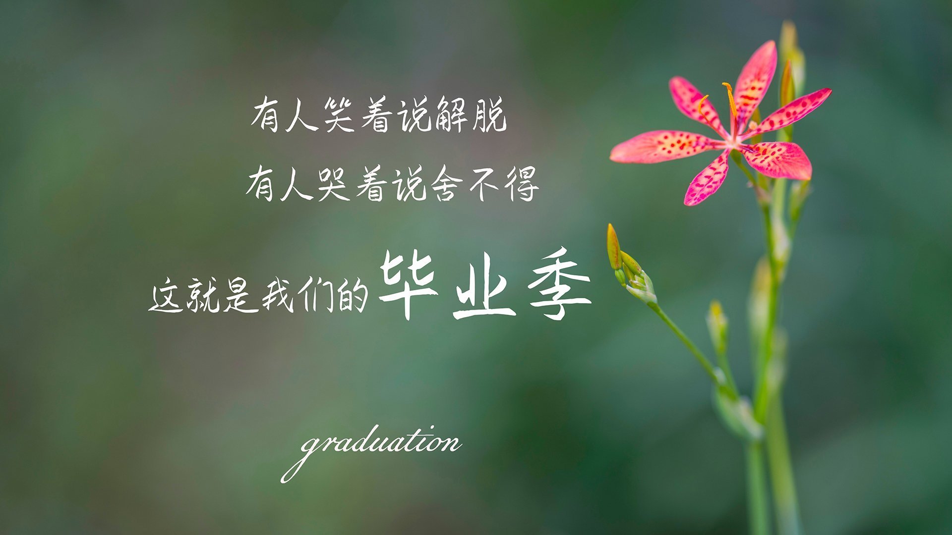 马刺老将再次闪耀,带领球队一步步追赶西区强队,马刺队有谁