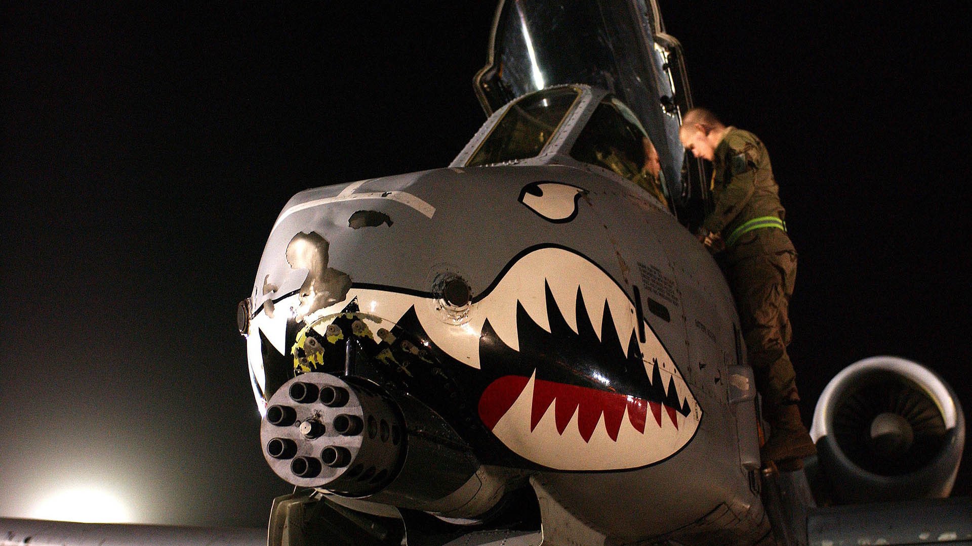 校园体育文化对学生心理适应性的影响，校园体育文化建设对于塑造大学生的健康体质和完整人格