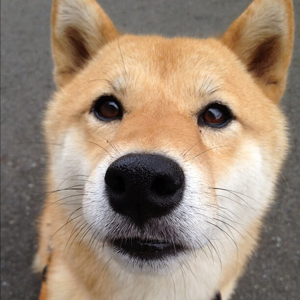 CBA多支球队加强后备力量培养，cba后勤