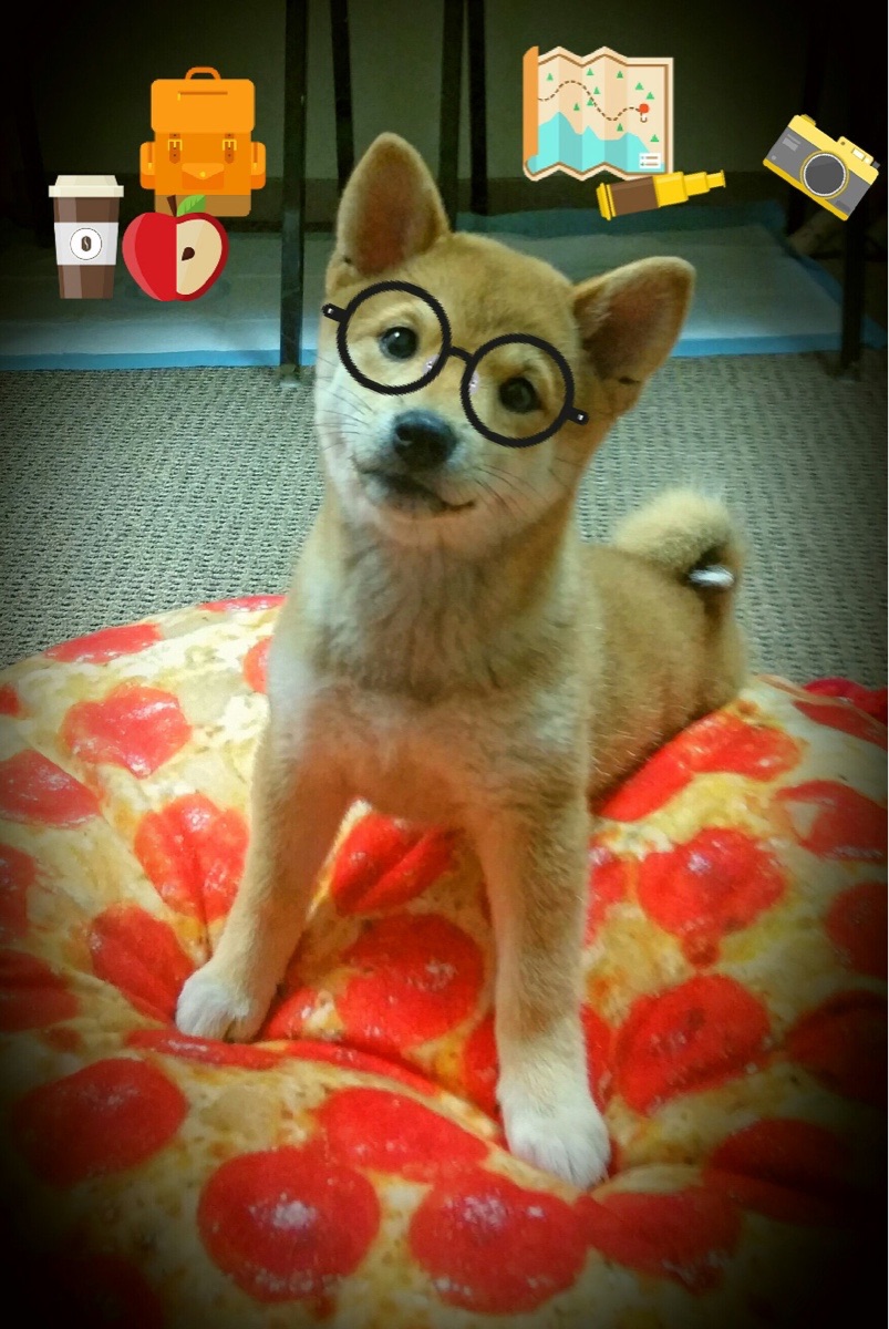 体育新闻中心上线体育创作者信用评价体系，体育新闻评论案例