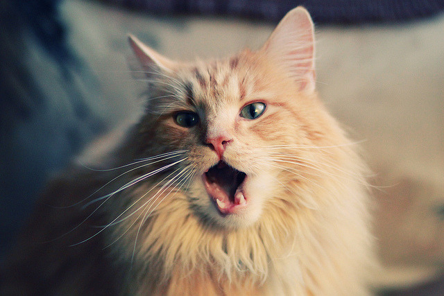 压迫防守下如何调整持球节奏应对,足球比赛压迫式防守特点