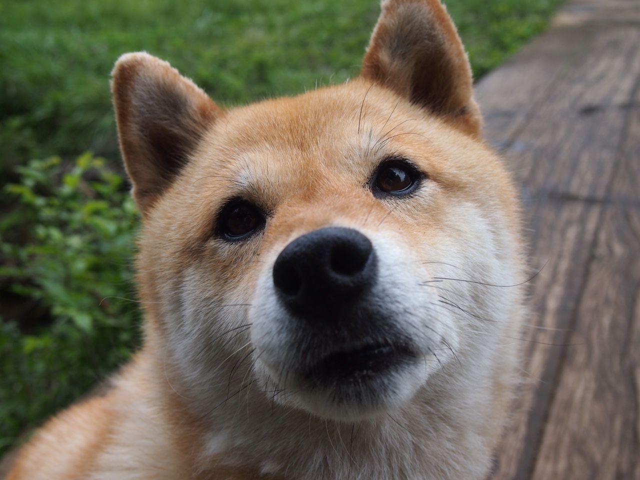 尤文图斯提升进攻纵深打破防线压制,尤文图斯战术