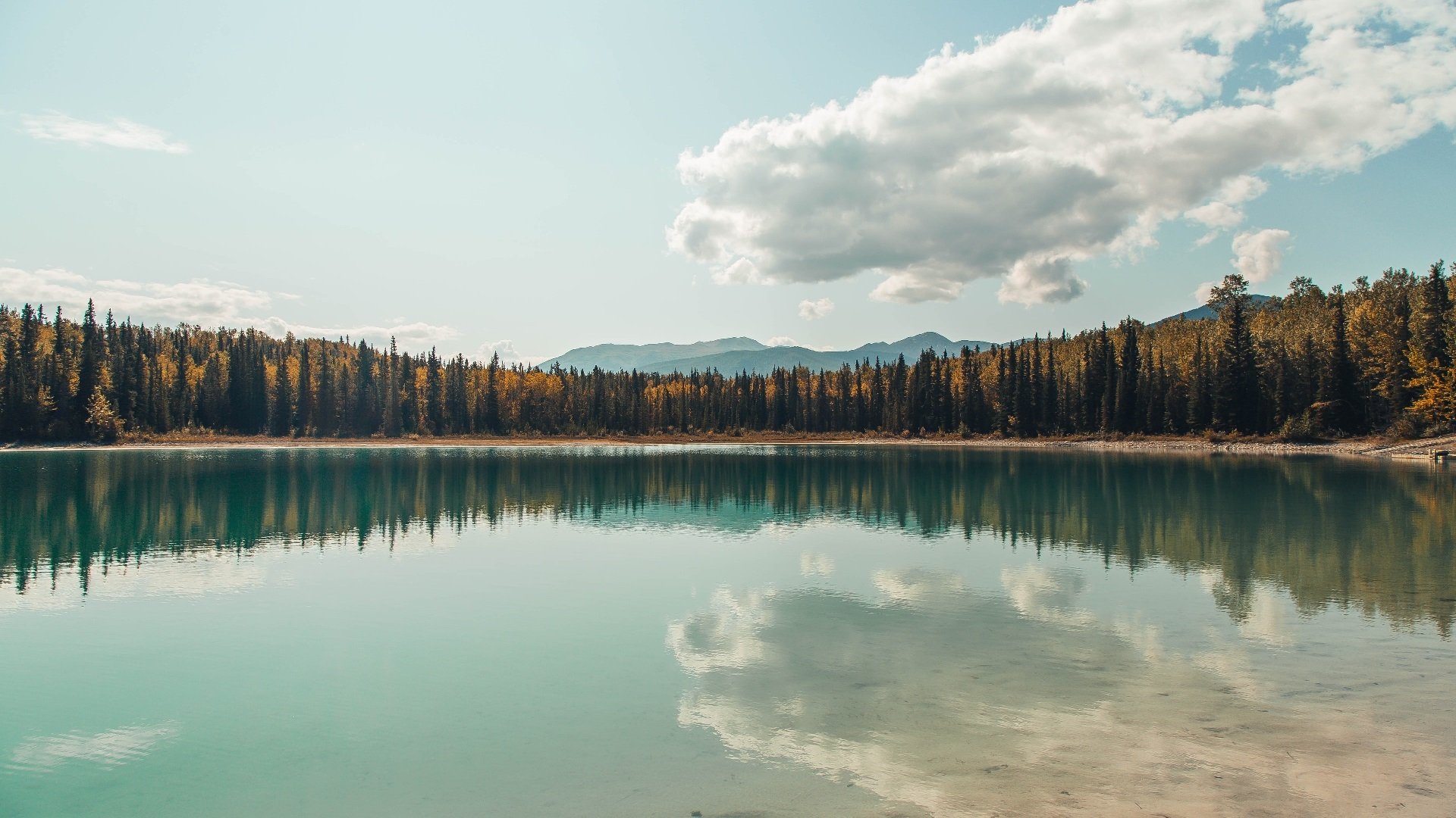 波兰队赛制解析:如何最大化利用赛制中的每一场比赛,波兰队阵型