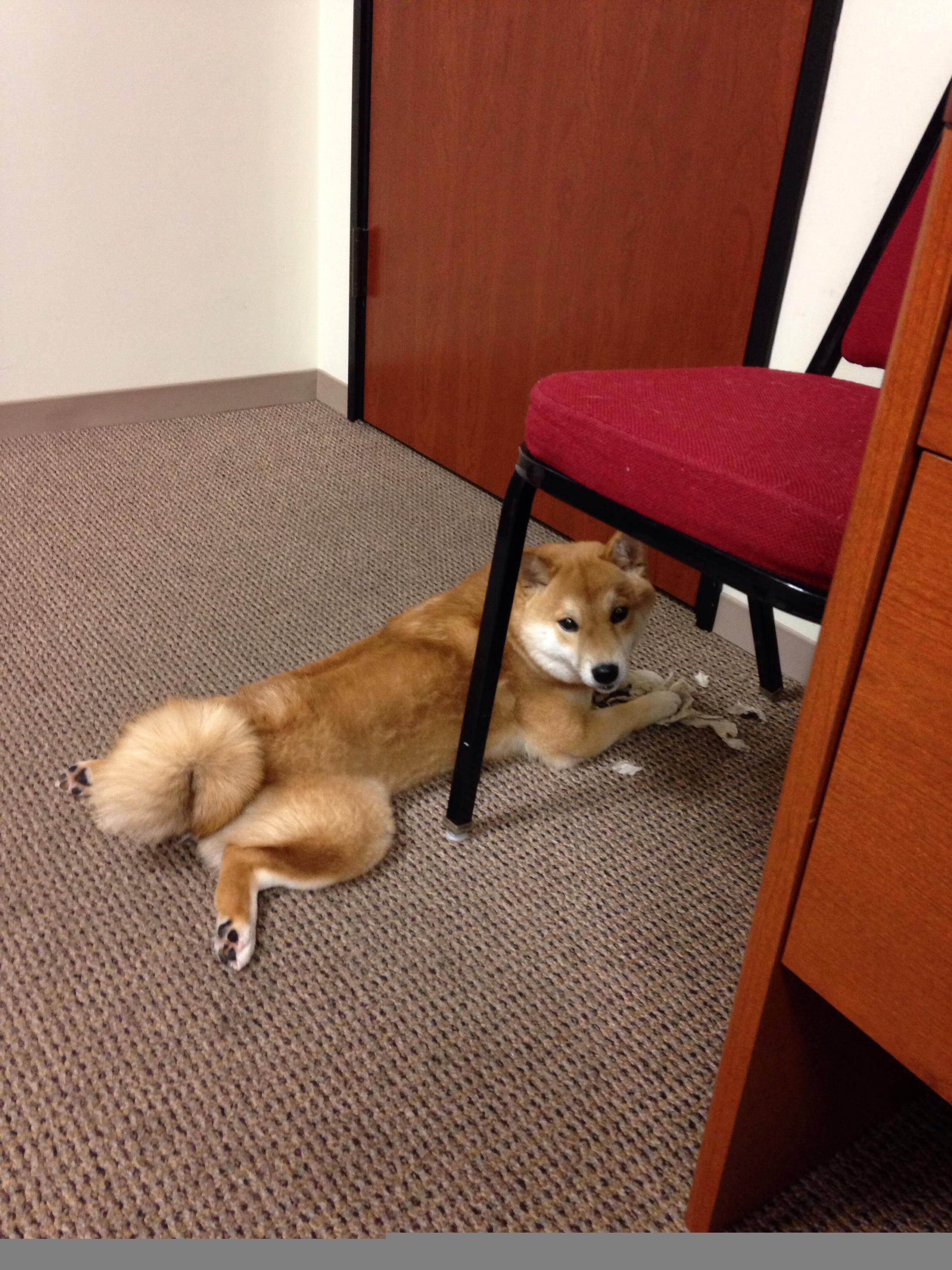 九游(jiuyou)官方网站-海外联赛对比引发热议国内篮球需加强节奏感，海外打球的中国篮球