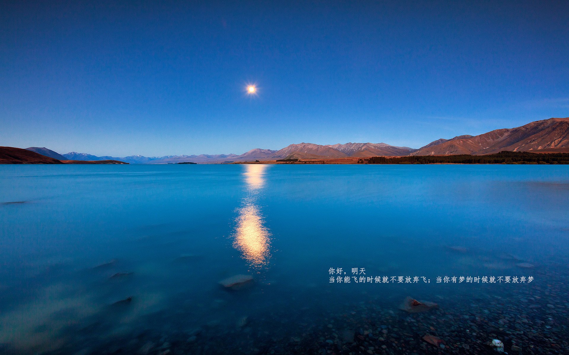 九游app官网下载-瑞典乒乓团队在2024年混合团体世界杯中扮演关键角色，瑞典乒乓球世乒乓赛冠军争夺赛