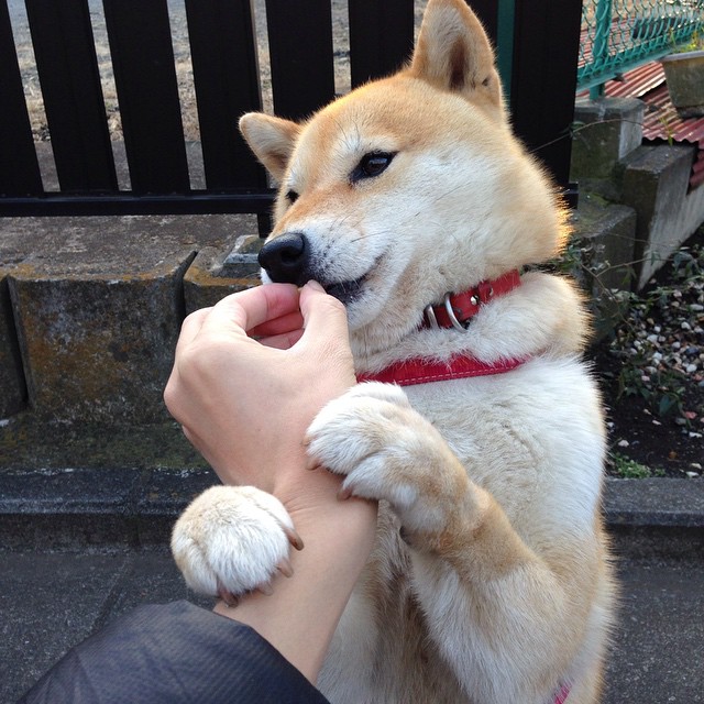 九游娱乐官网 (jiuyou)-世界杯夺冠热门再评估，世界杯夺冠榜