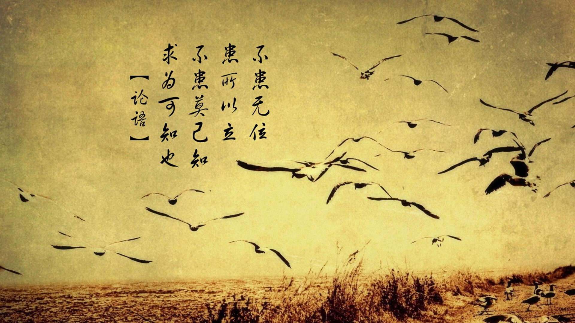 拜仁主场大胜锁定半程冠军，拜仁提前34轮夺冠