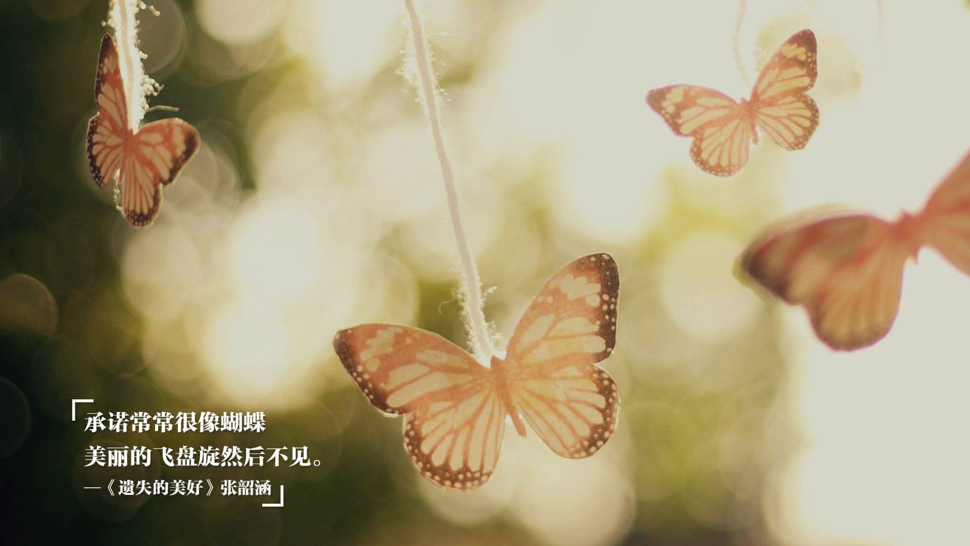 澳大利亚女子4×200米自由泳接力表现精彩纷呈，奥运女子4×200米自由泳接力