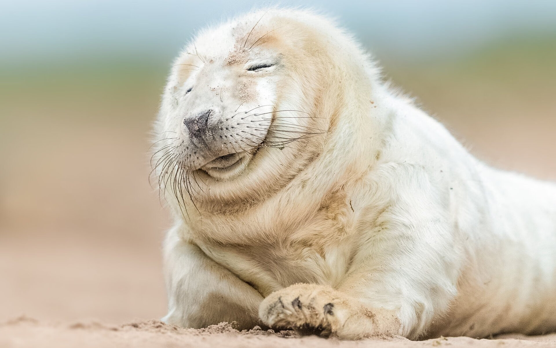 男篮青年联赛吸引多家俱乐部球探现场考察,青年男子篮球锦标赛