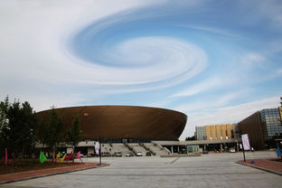 九游app下载中心-高校体育场馆开放管理政策研究,高校体育场馆现状